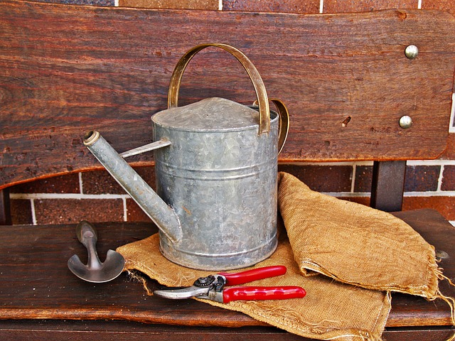 Watering can and gardening tools